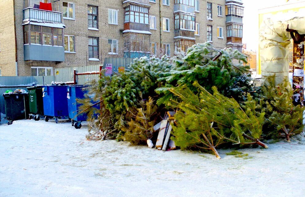 Фото не моё. Нашёл в яндекс-картинках.