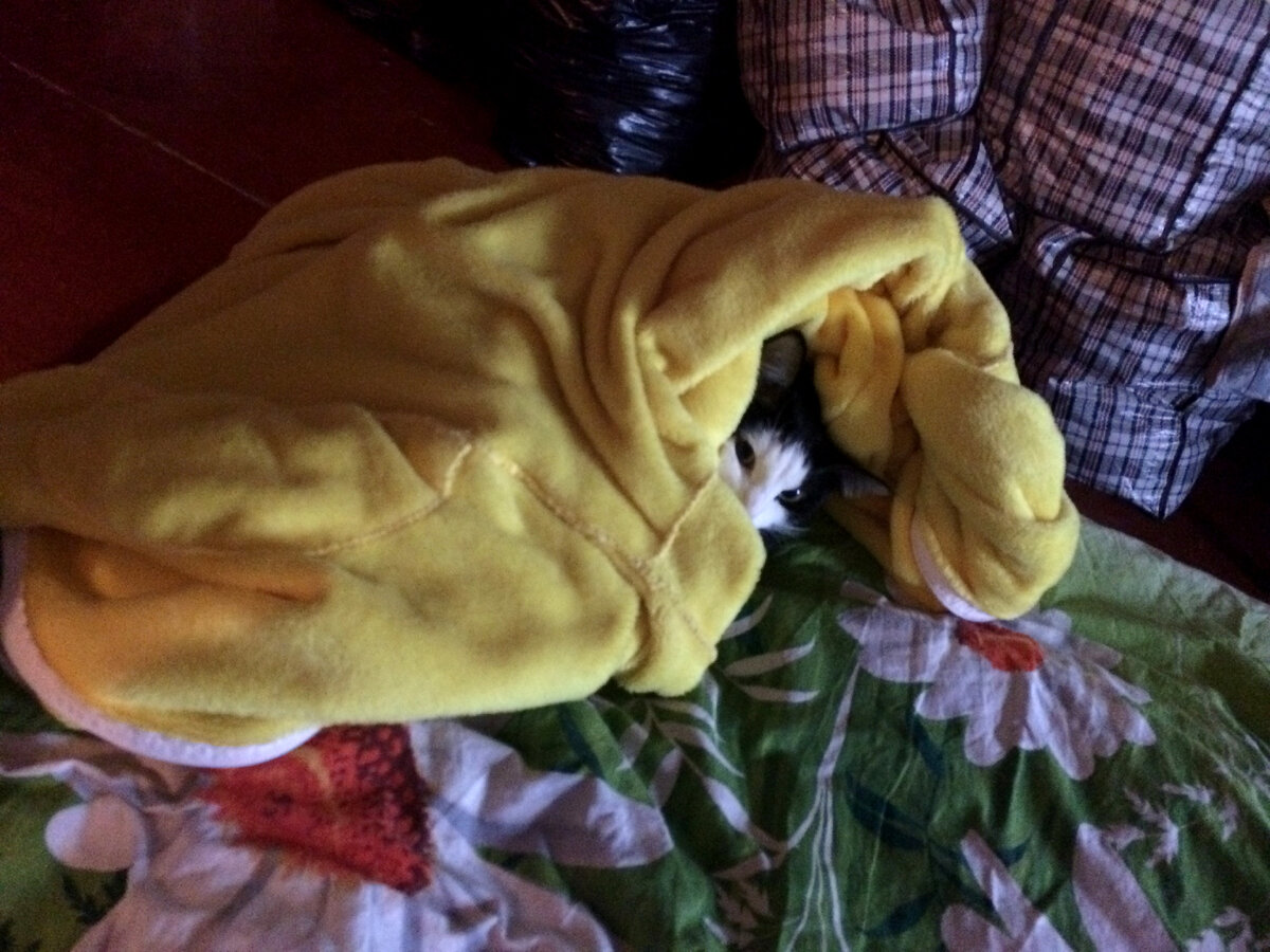 Заползай, места хватит.