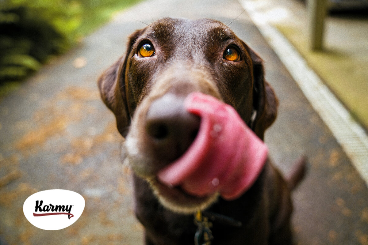 Авторское изображение с использованием картинки с фотостока "Unsplash"