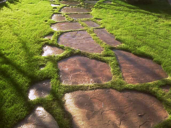 Фото с сервиса яндекс-картинки