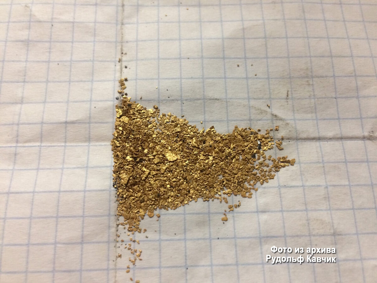 Нашли горсть россыпного золото. Что дальше?  Самому добывать по крохам? А если объединится с опытными друзьями и зарабатывать миллионы?