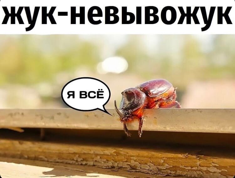 Примерно так и было
