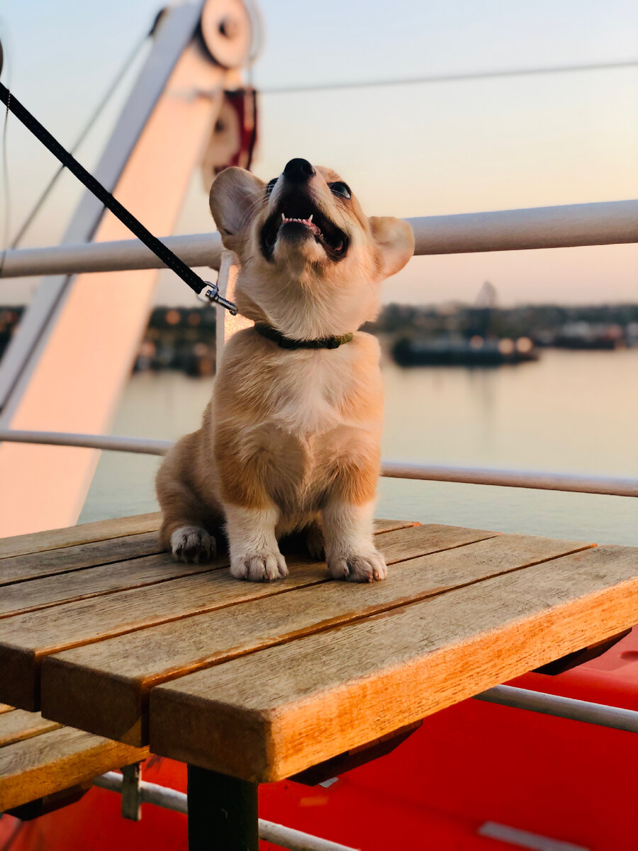 Асти 5 месяцев