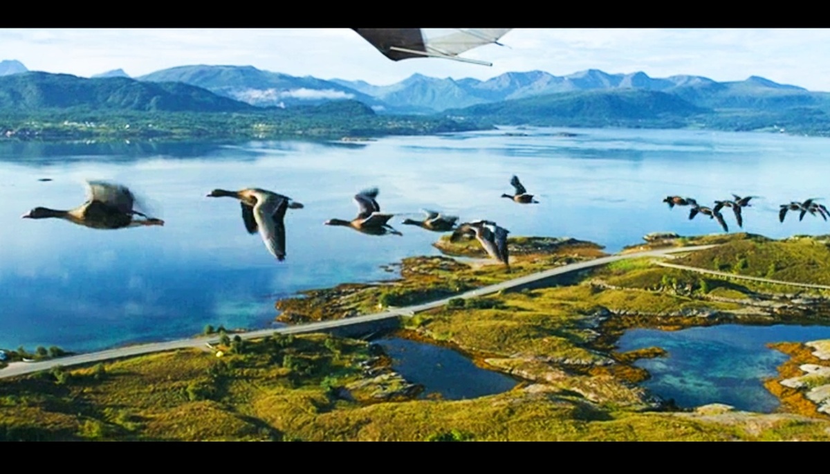 Кадр из фильма «Расправь крылья»