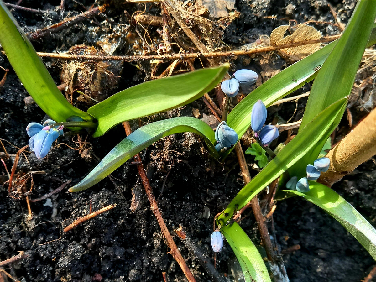 Фото автора 2 апреля