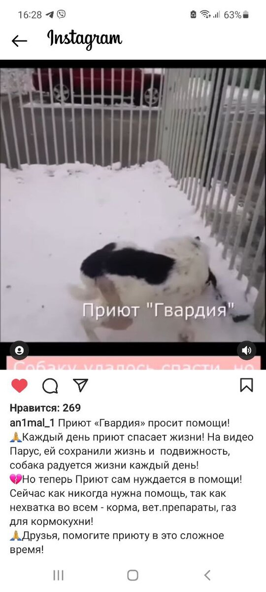 Товарищи, господа, давайте поможем приюту, братьям нашим меньшим, каждый по рублю, а им поесть, они больные и беспомощные.