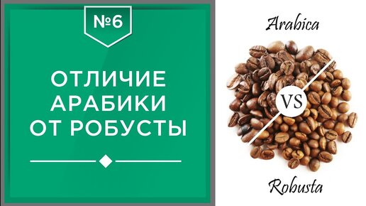 Различия Арабики и Робусты | Какой кофе лучше и в чем разница☕