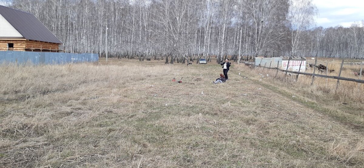 Половина скошено, справа пол участка выкосили, слева ещё нет