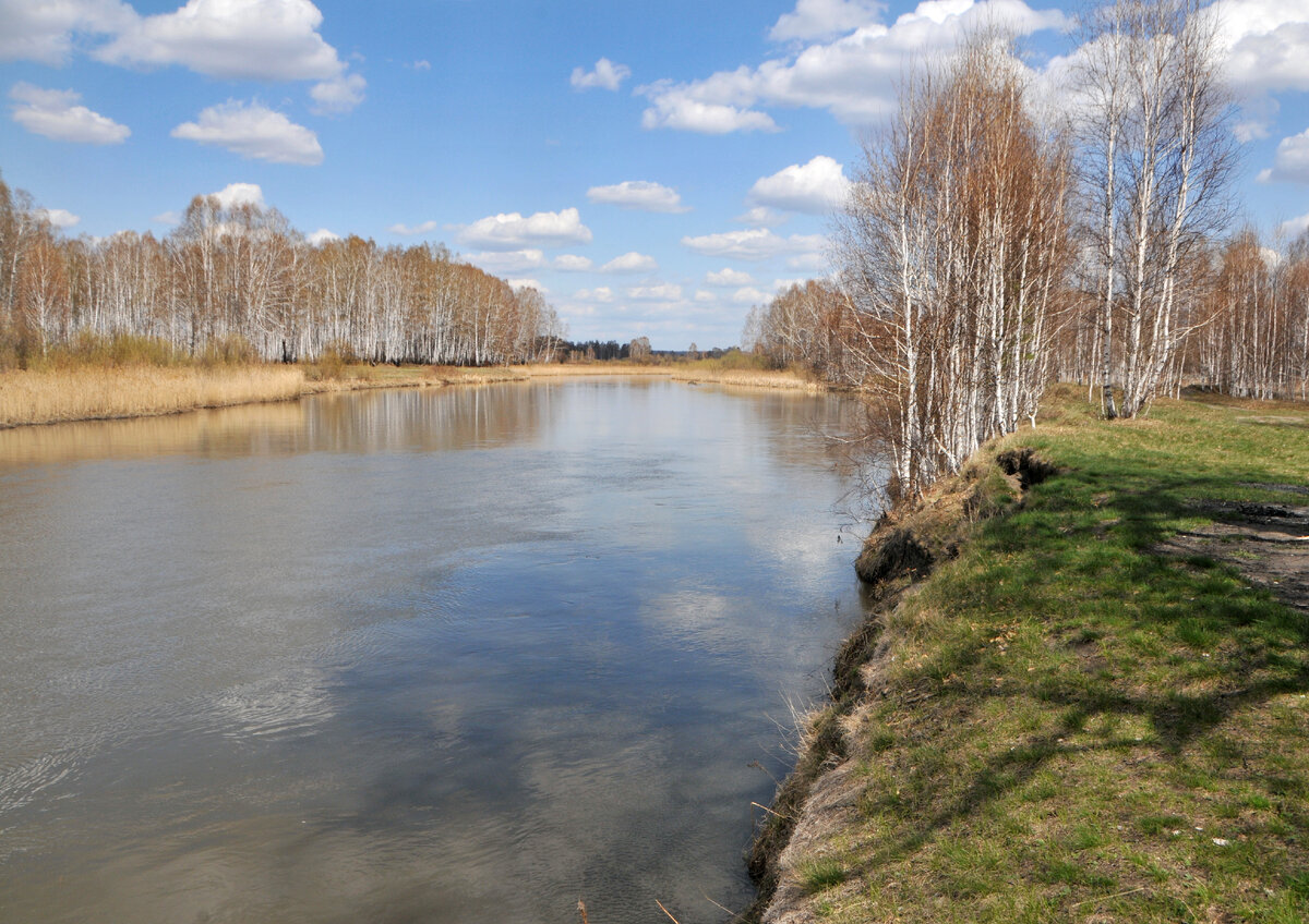 Лето просыпается. Река Миасс (фото автора)