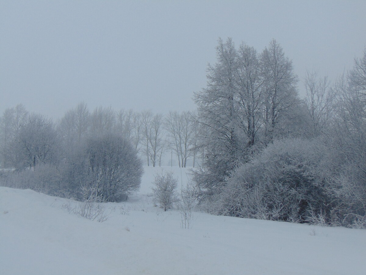 Фото автора канала