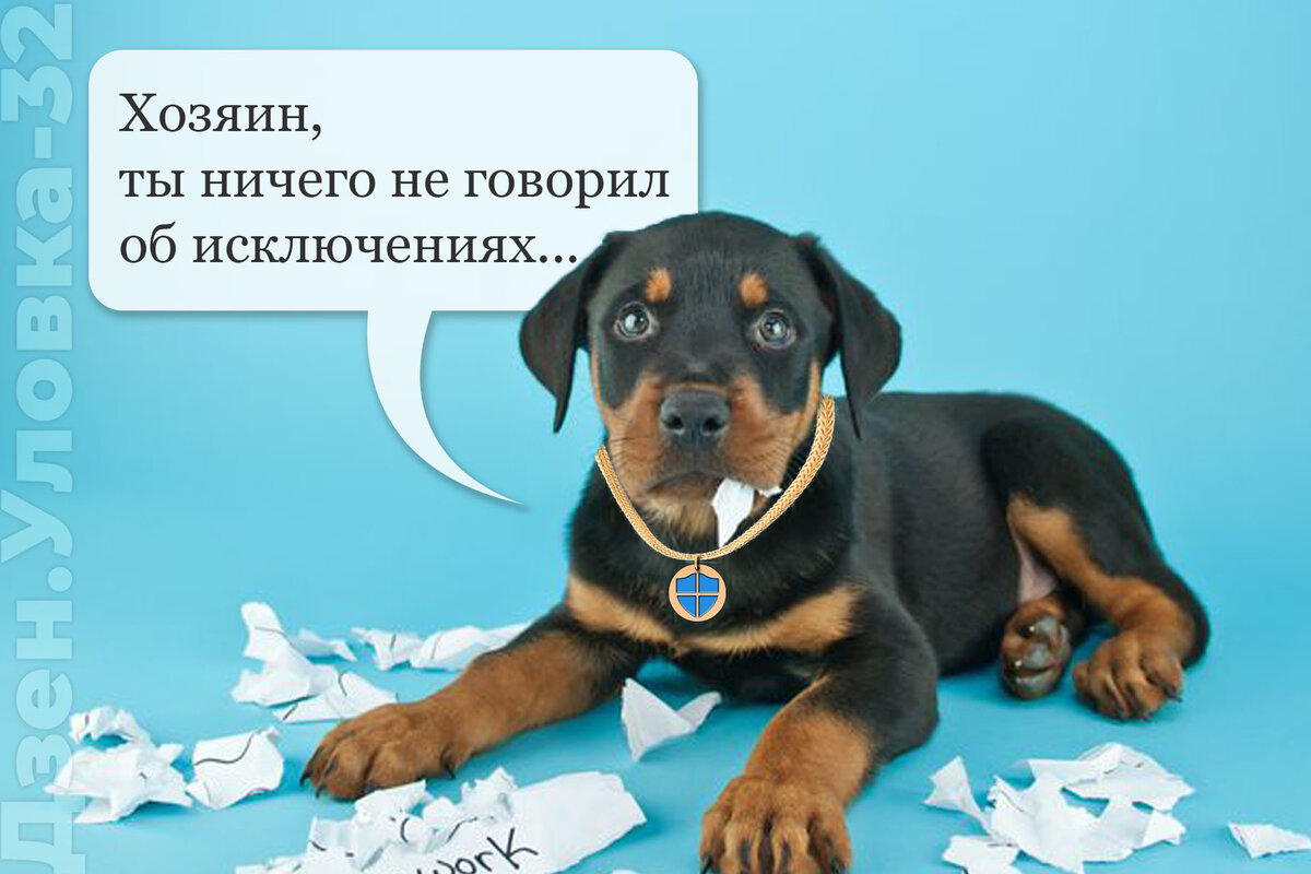 Фоновое сканирование в режиме реального времени иногда может ошибочно идентифицировать легальные программы и процессы как вредоносные / Яндекс.Дзен Уловка-32