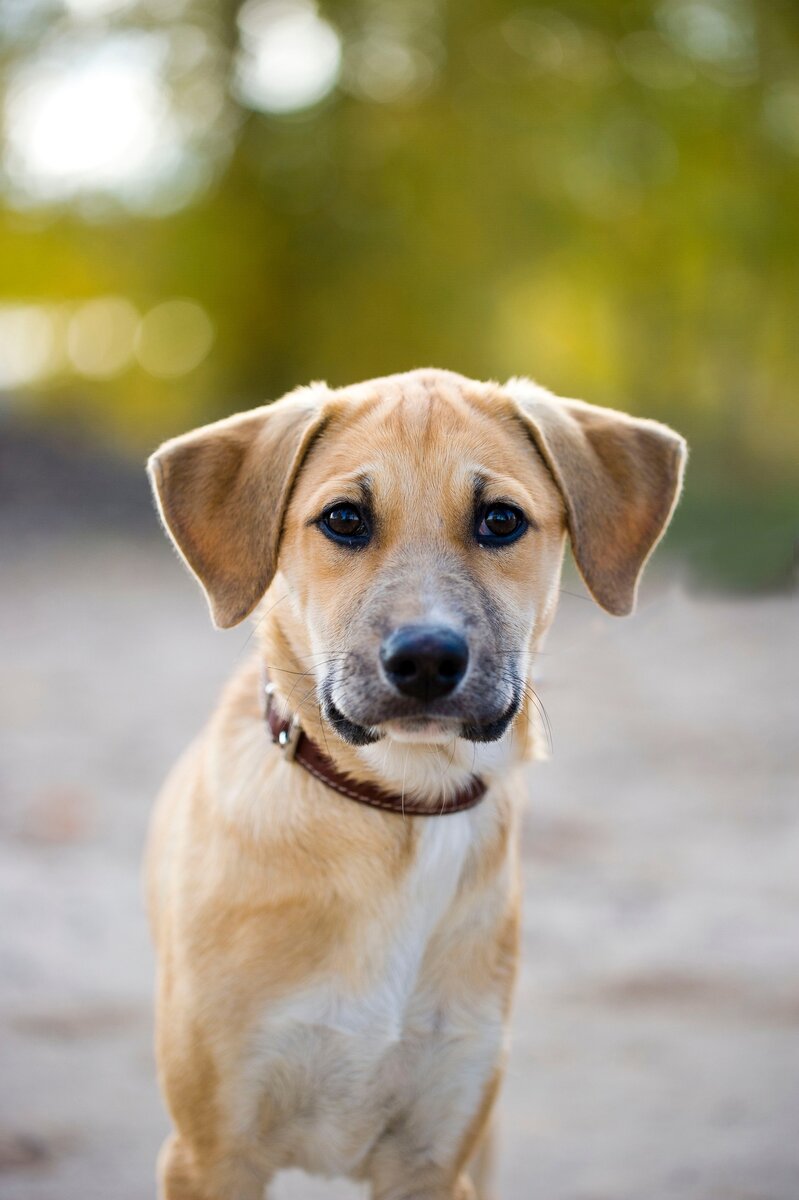 И вот такая девчонка