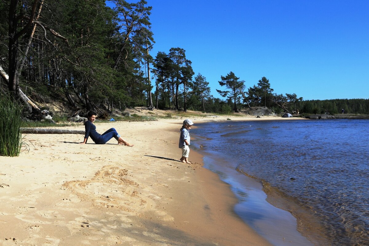 19.08.2015  15:25:44