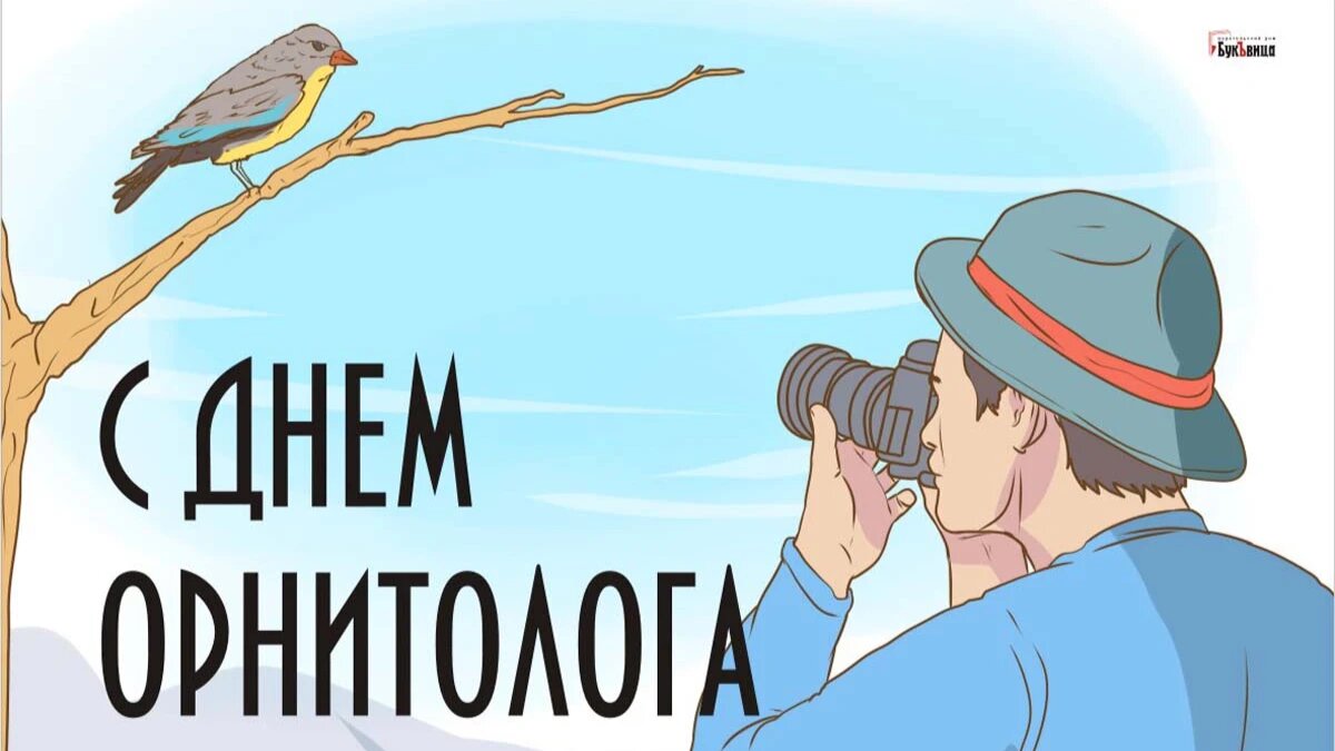 День орнитолога. Иллюстрация: «Курьер.Среда»