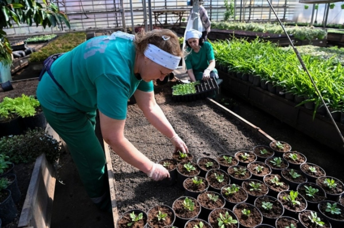    Петрозаводск может лишиться «Комбината благоустройства»