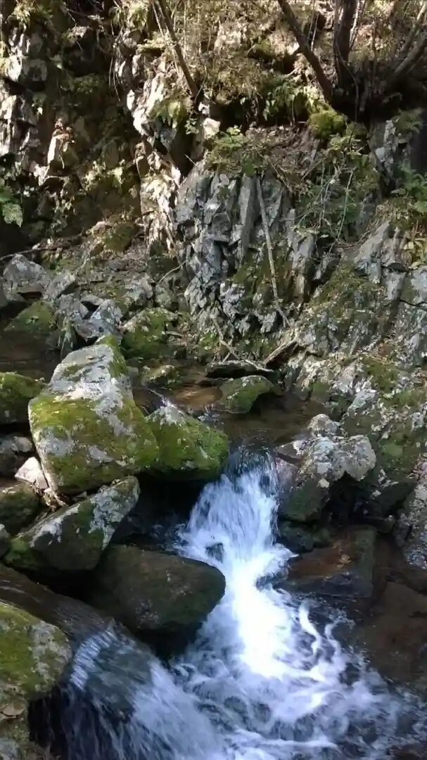 Горная река с ледяной и чистейшей водой.
