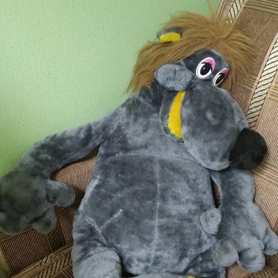 Фото Музея Собаки