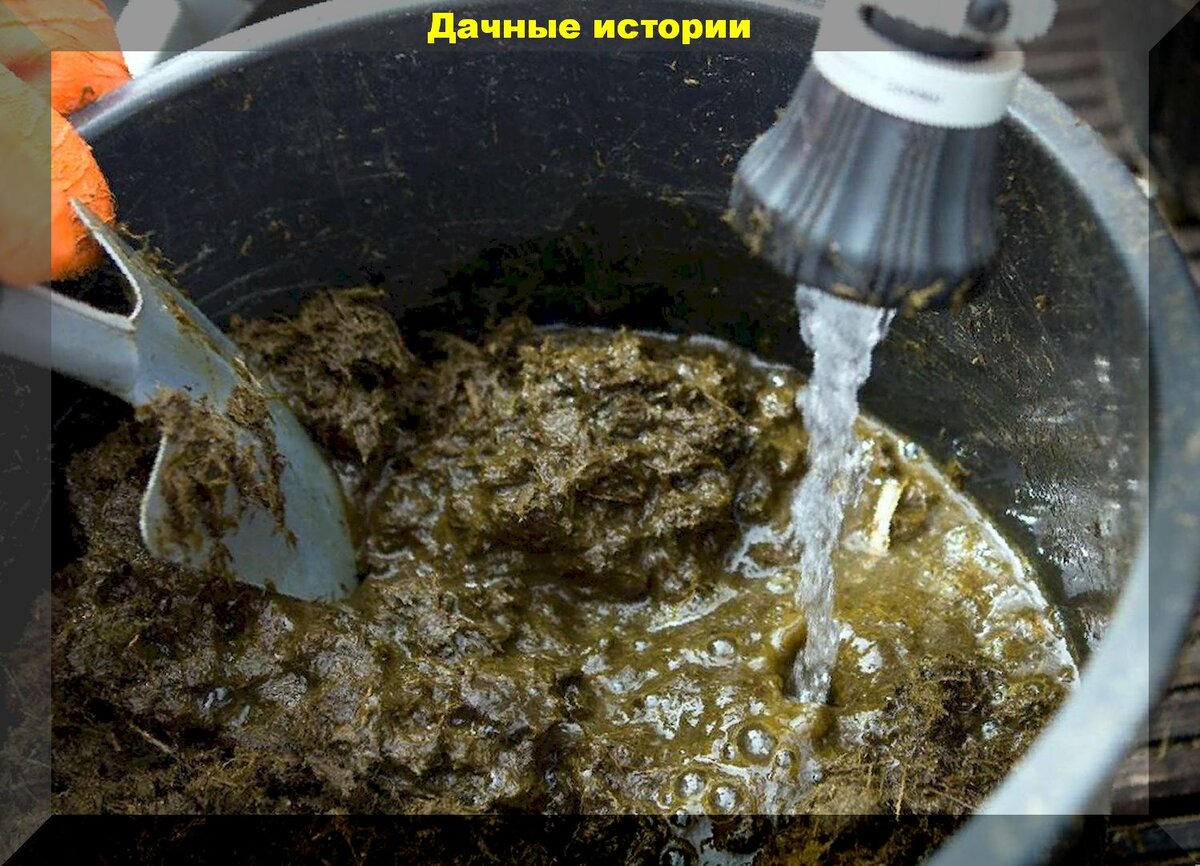 https://vk.com/photo-159774511_457243874