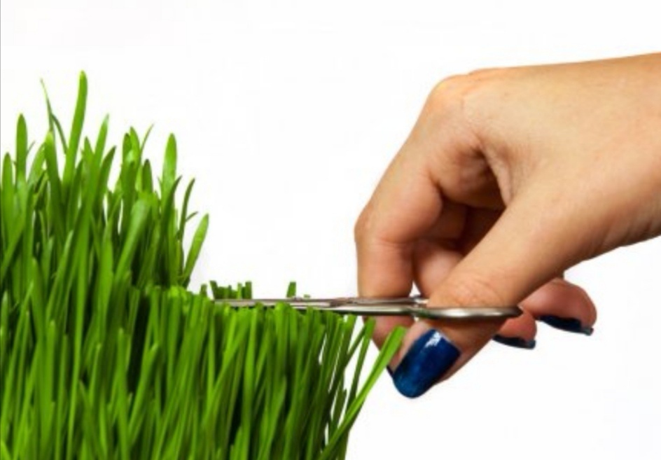 Перфекционизм.