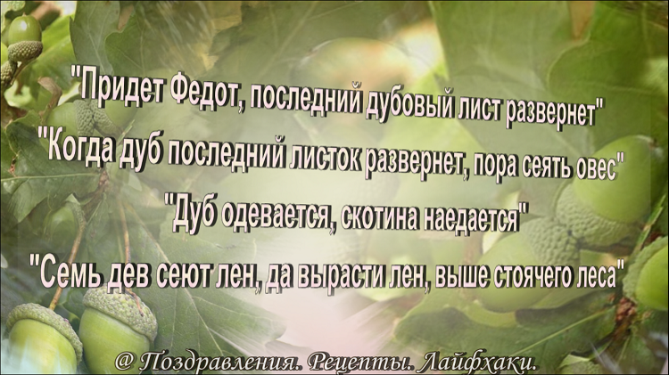 все иллюстрации в статье созданы автором канала....