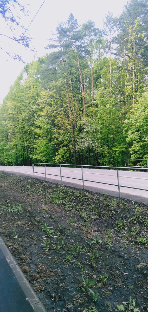 Природа самовыстанавливается, устала от вмешательства человечества