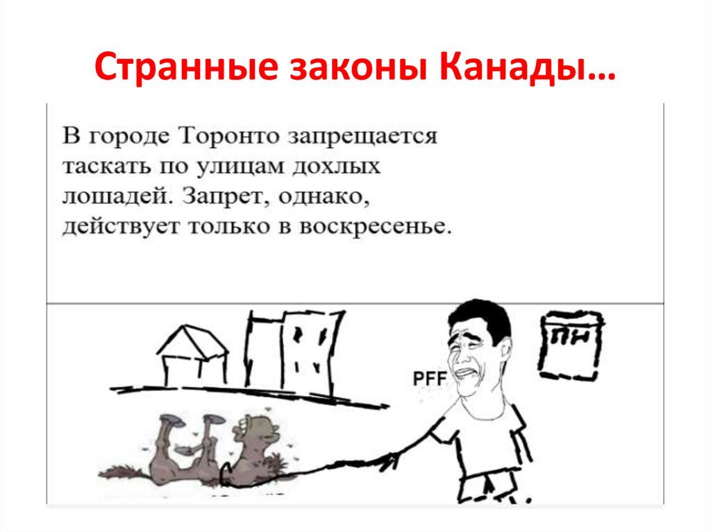 Самые странные законы в мире. Странные законы. Странные законы картинка. Цитаты с чтения закона о пропаганде ЛГБТ.
