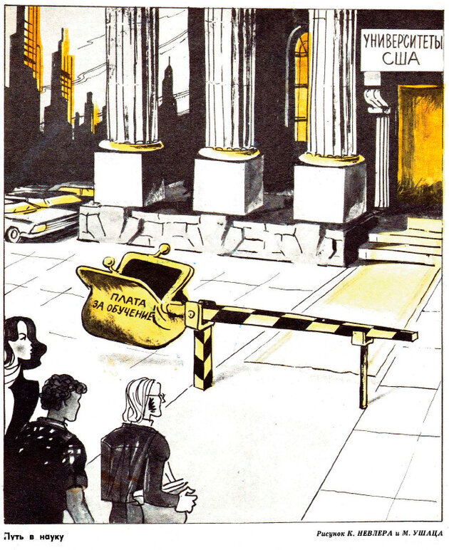 Если бы еще учили.