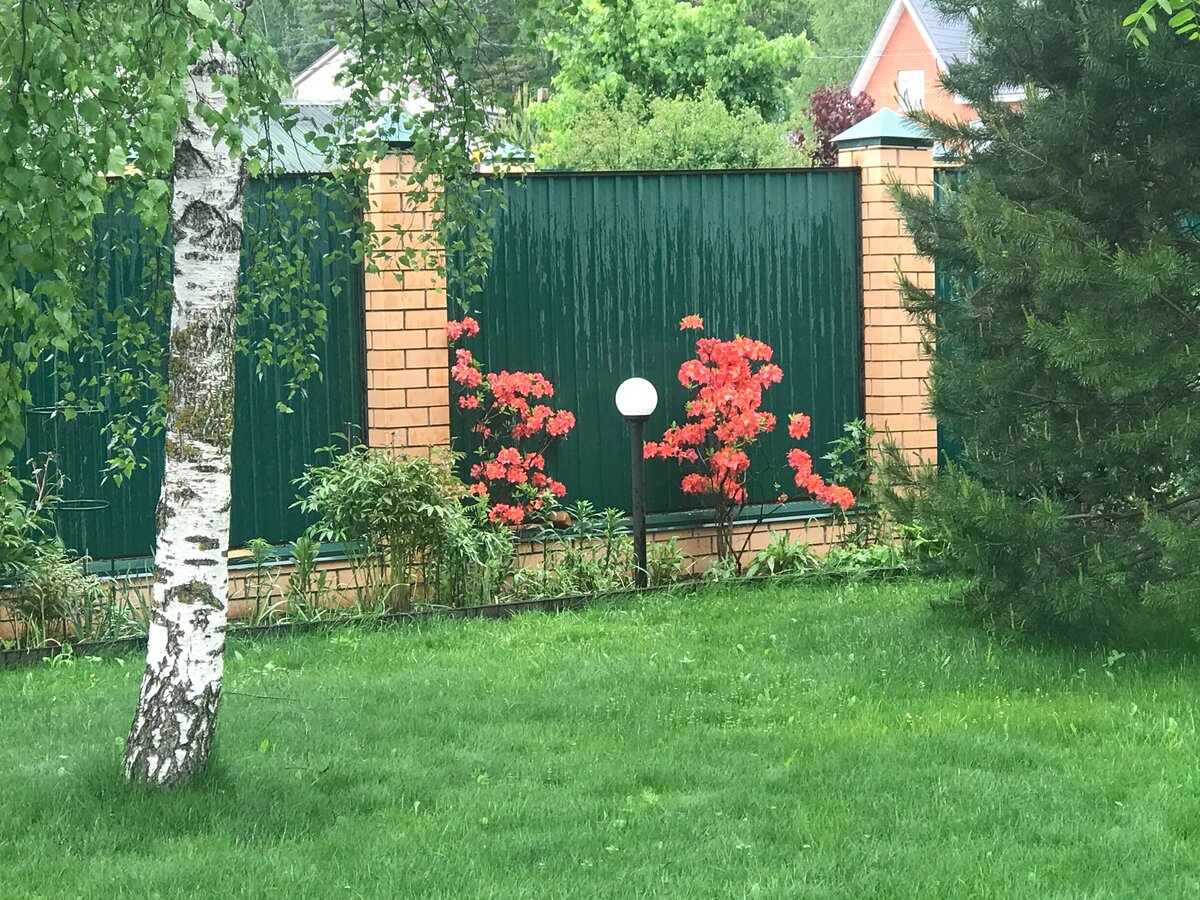 Фото автора статьи