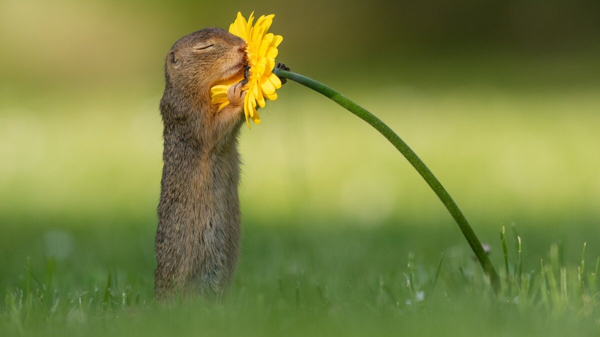 Из открытых источников.