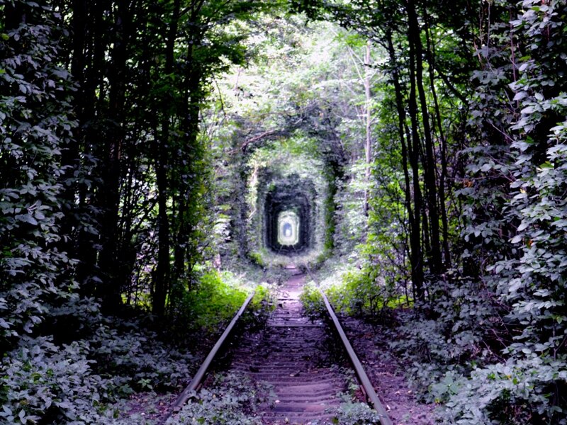 Тоннель любви