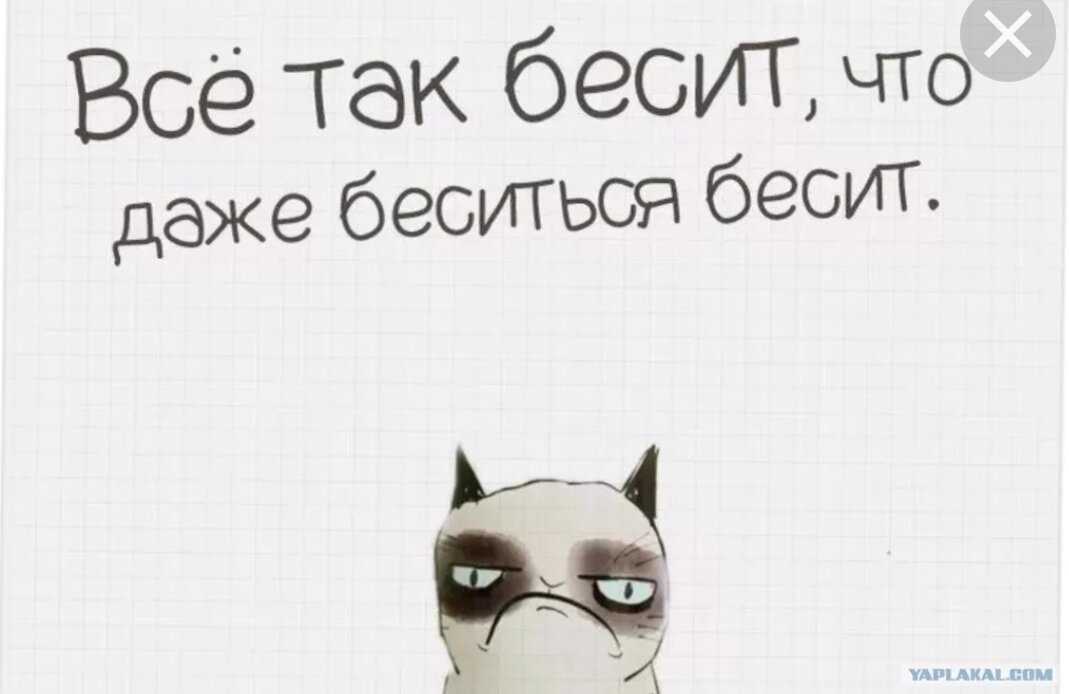 Яндекс-картинки