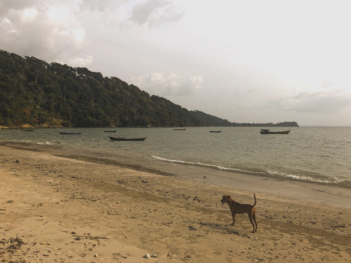 Пляж на Андаманских островах