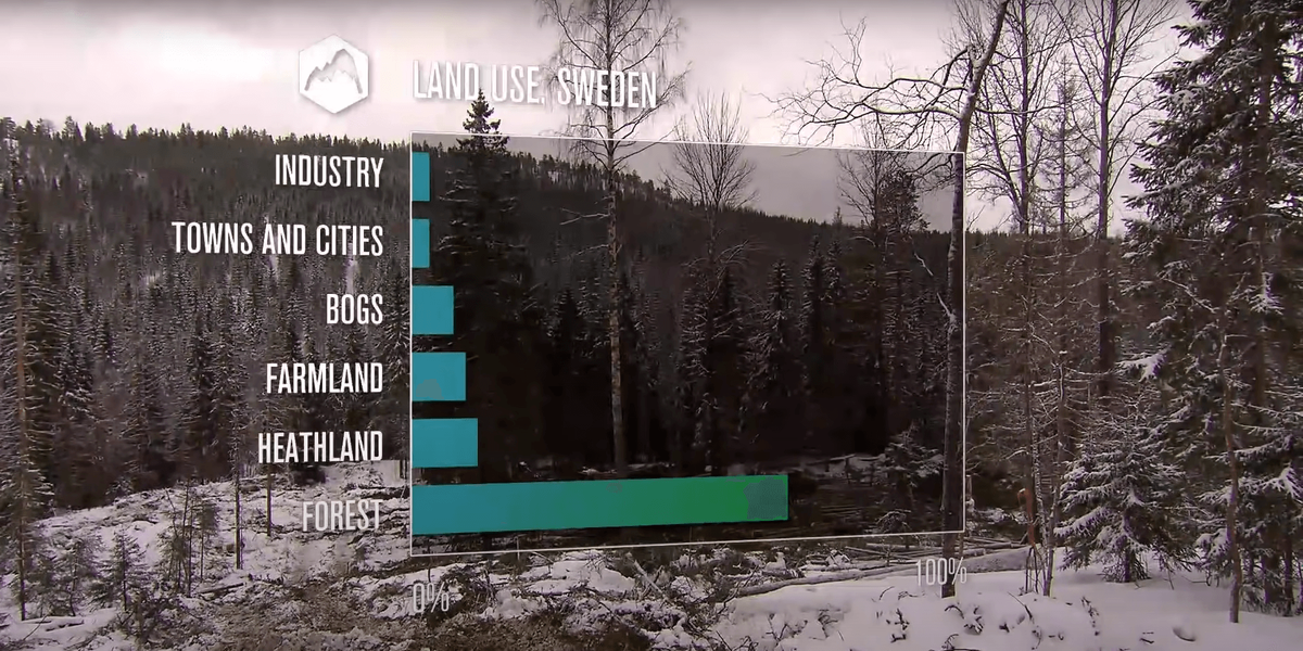 леса Швеции
