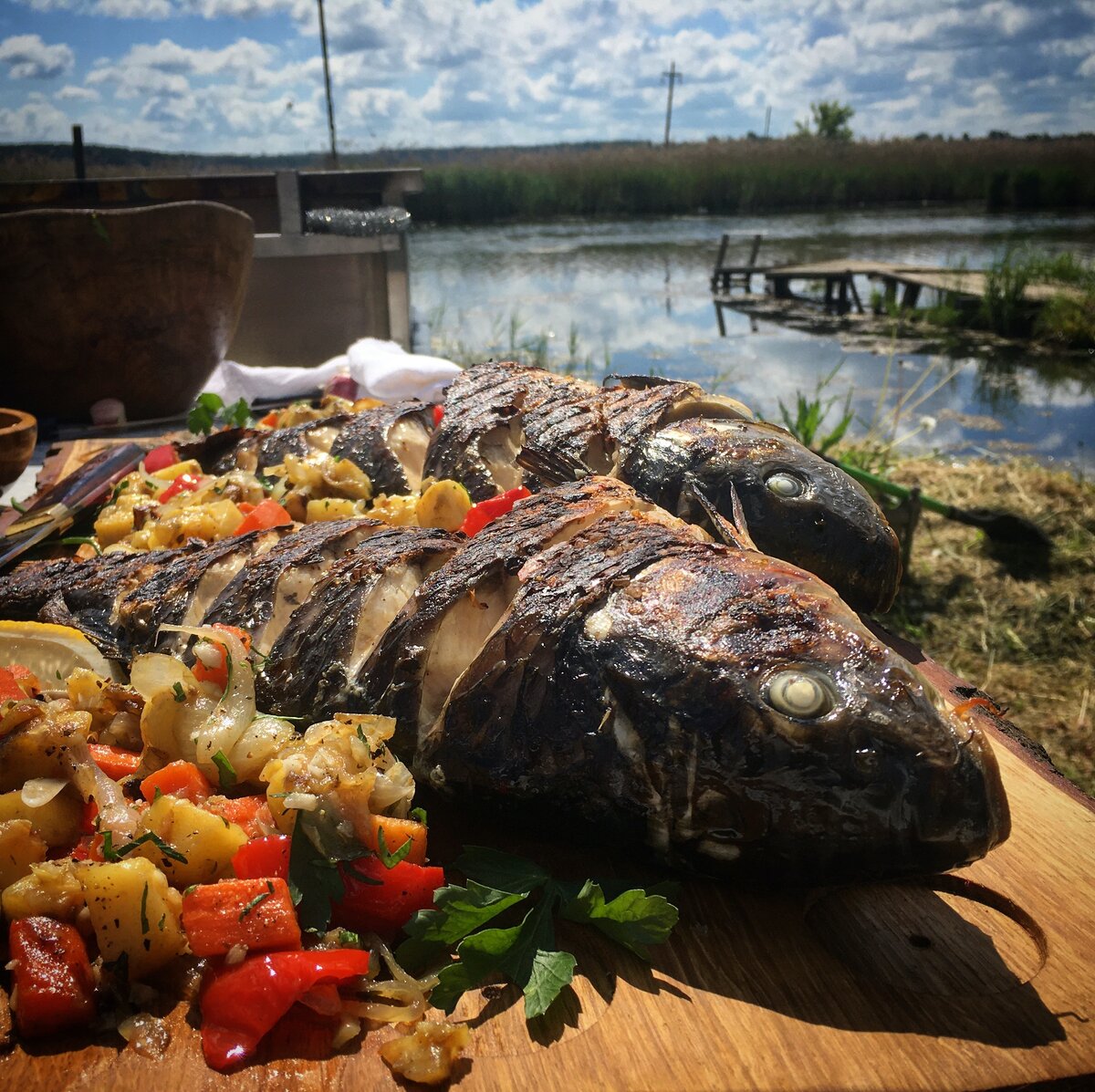 Карпы из Оки