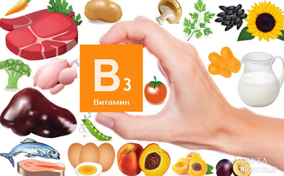 Профилактика дефицита витамина В 3