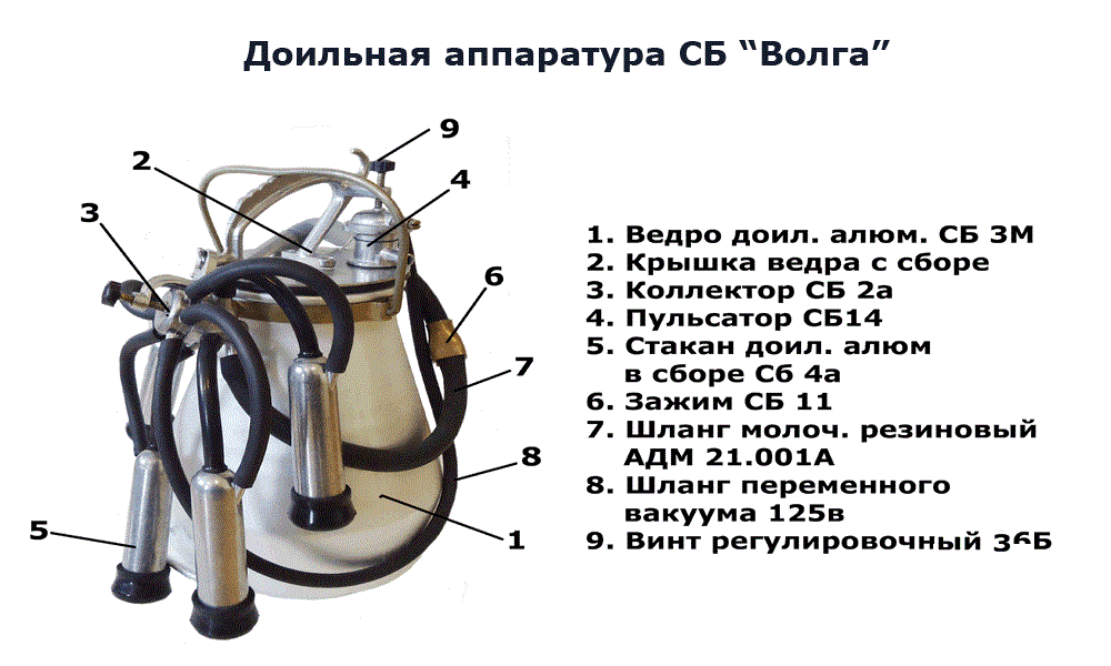 Фото с интернет источника