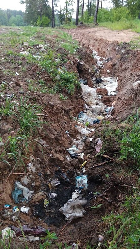 Та же канава летом, после «уборки». Фото Игоря Пастухова