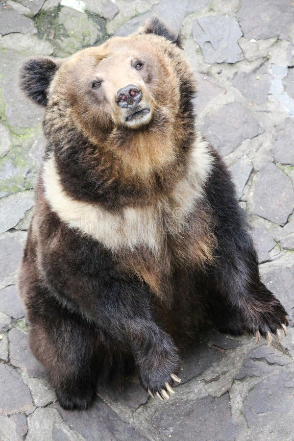 Фото из открытых источников в Яндекс. Картинки 