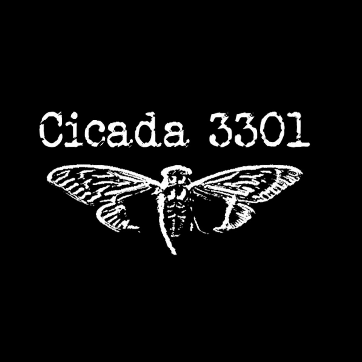 цикада 3301 логотип. цикады телеграмм. цикада 3301. цикада 3001. цикада 3301 квест.
