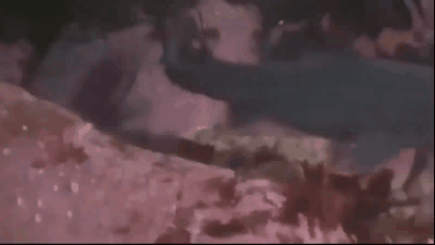 -5