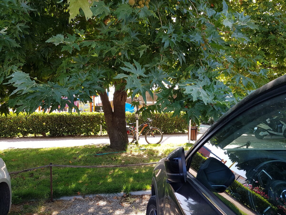 Наше излюбленное место - пляж отеля "GOLD CITY"