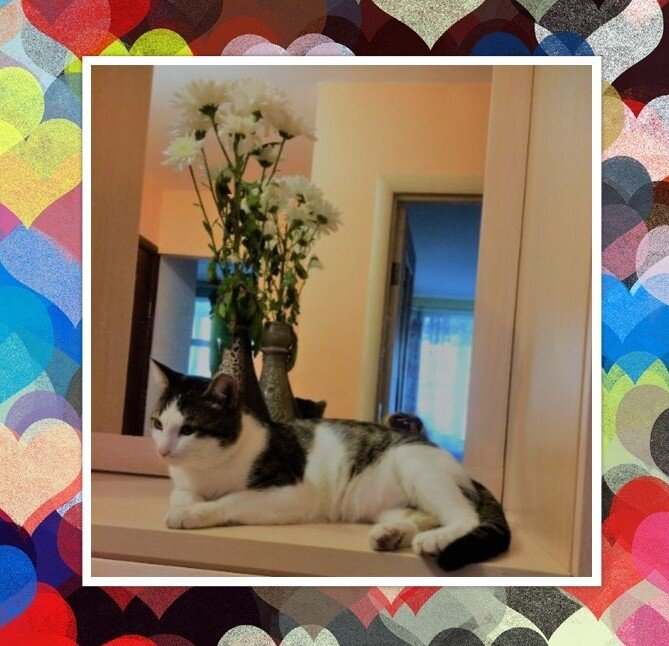 Стэн Фото и коллаж личные