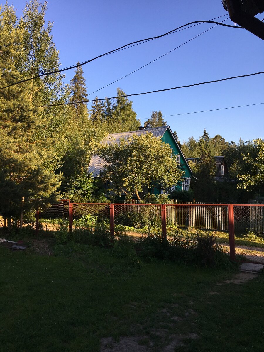 Мой домик, мои грядочки...