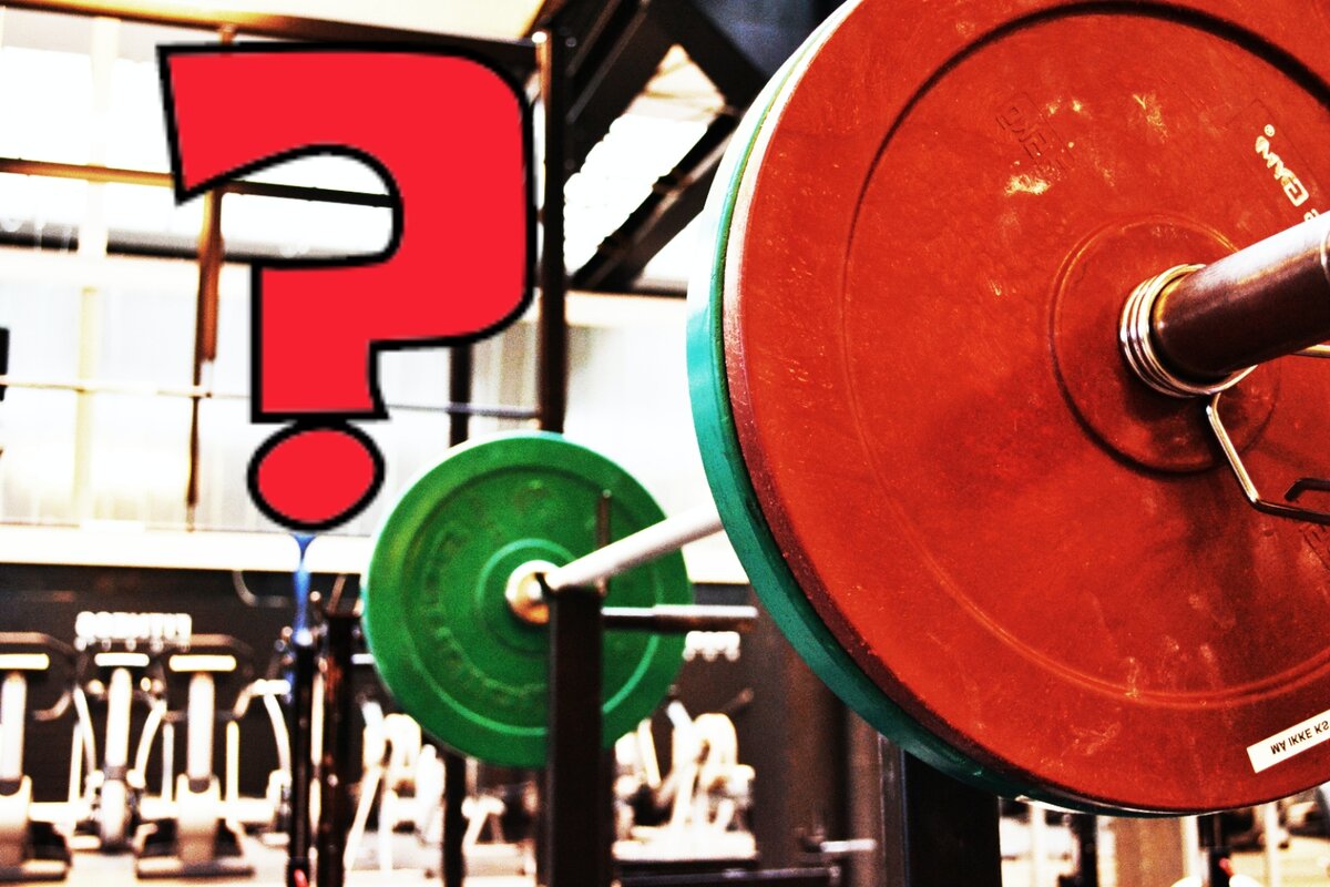 Источник: https://unsplash.com