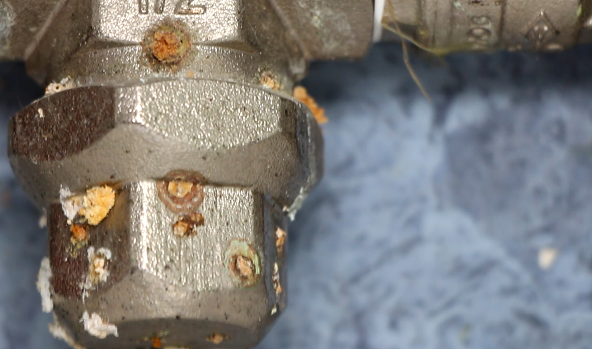 Фото автора.