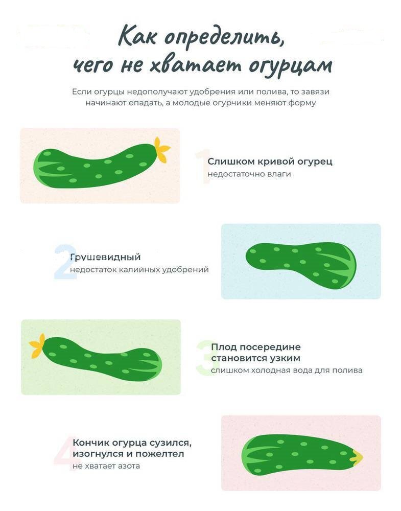 Огурец цветовая схема