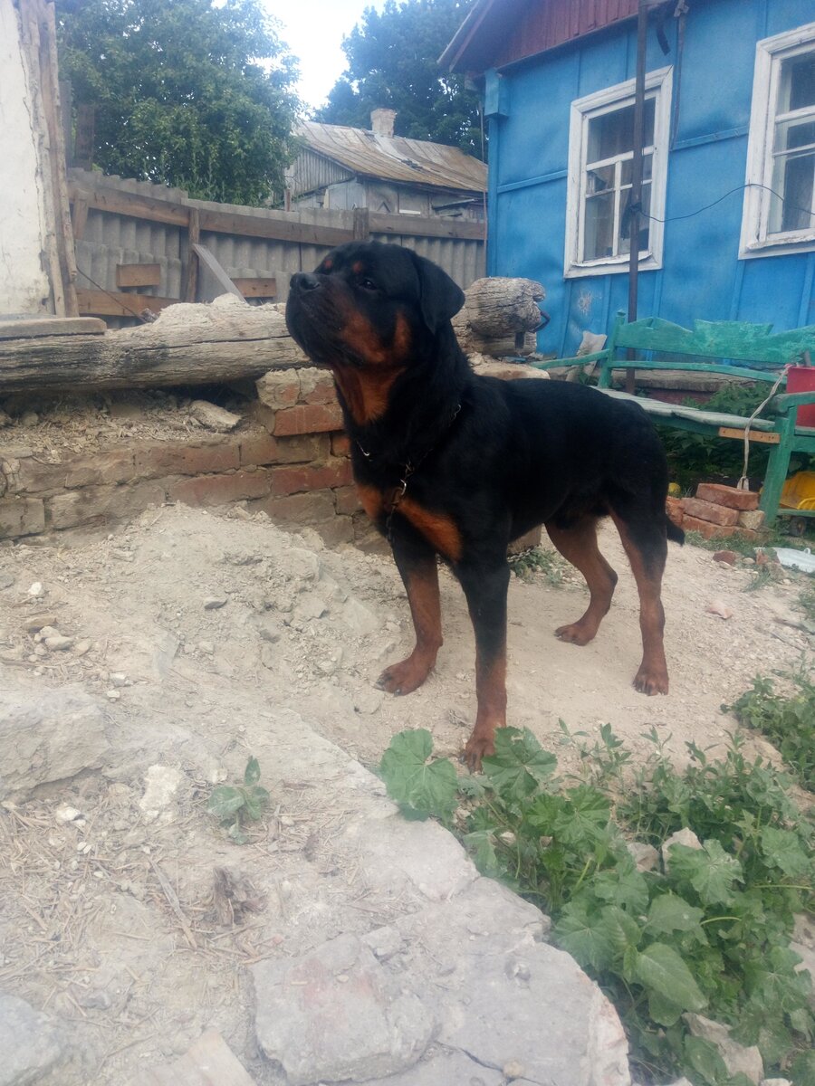 Тайсик