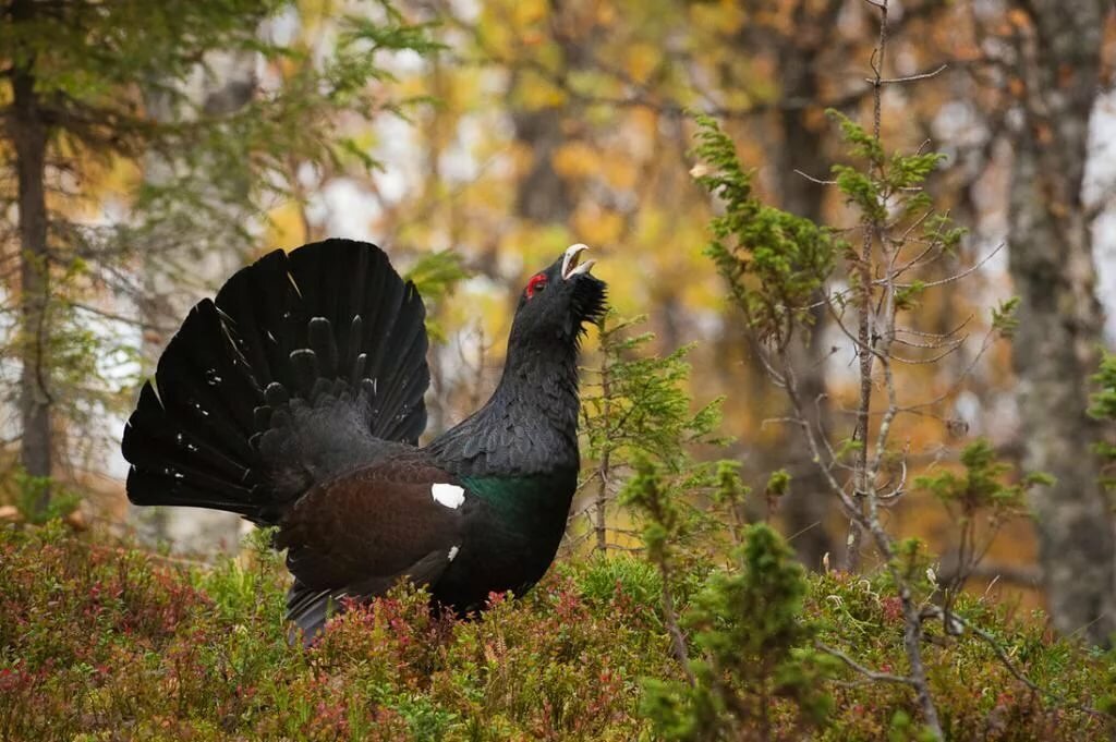 Источник: yandex.ru