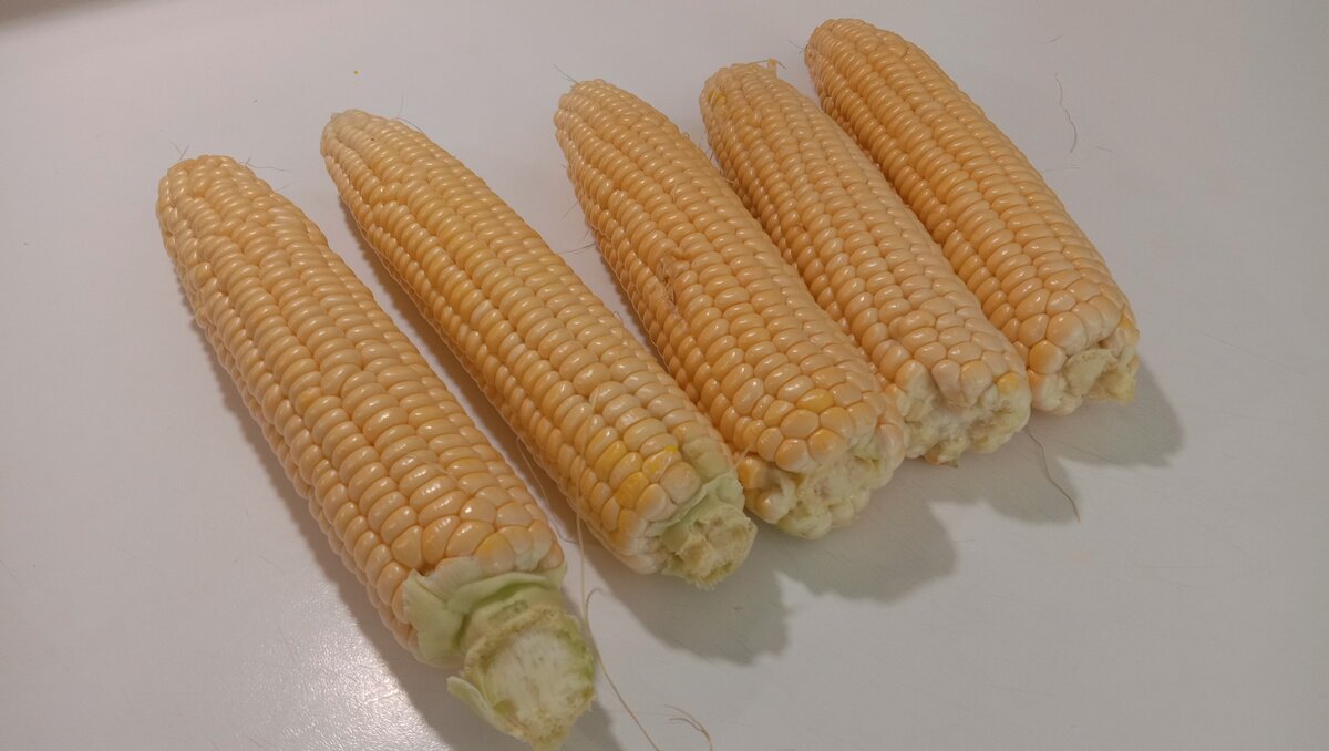 "Золотая "кукуруза.