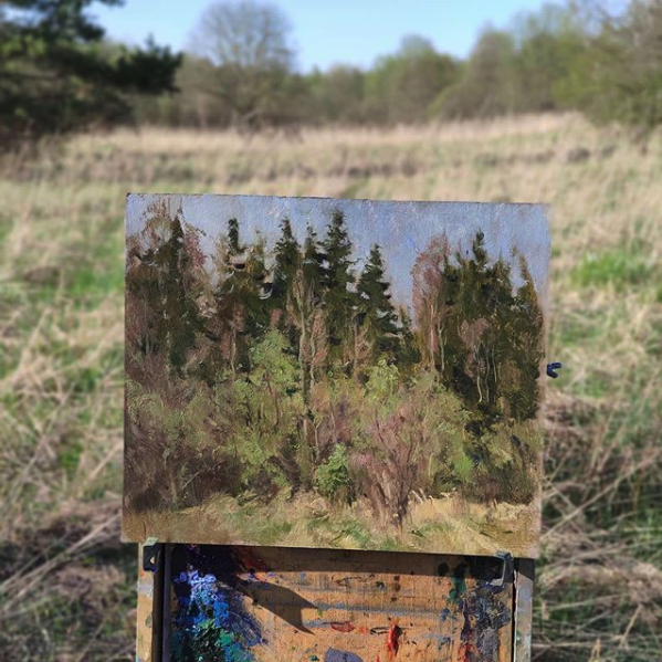 Весенние ёлочки.